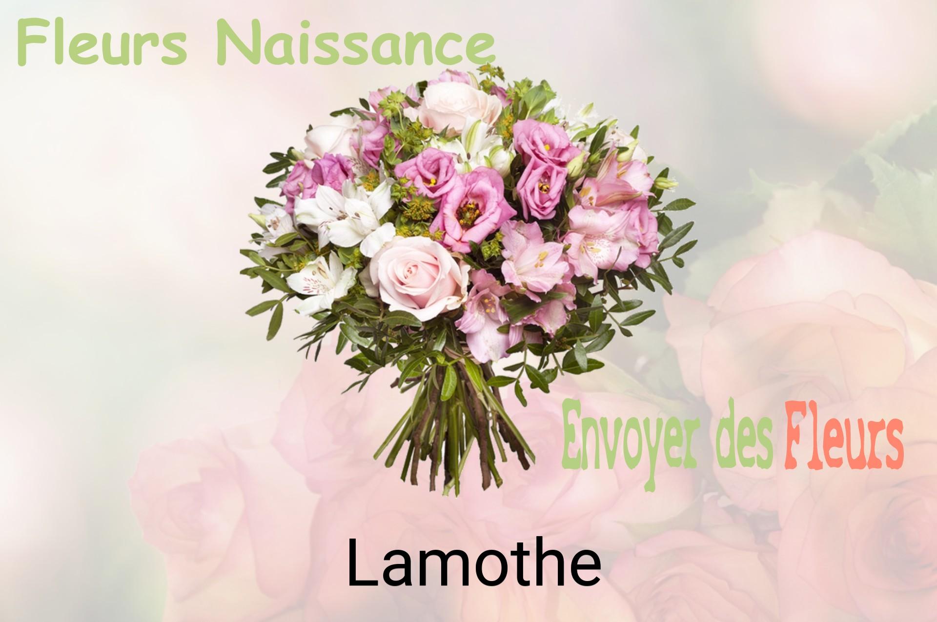 Bouquet de fleurs de naissance livré à Lamothe